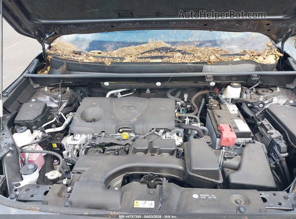 JTMW1RFVXPJ026348 2023 TOYOTA LE Gray Widok z tyłu