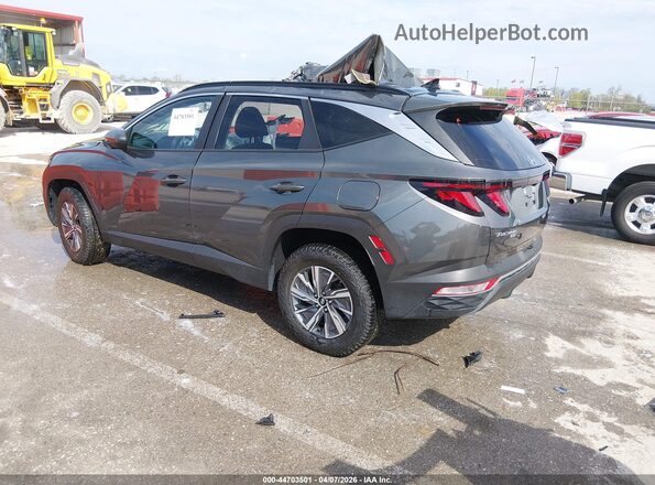 KM8JBCD13RU210841 2024 HYUNDAI TUCSON HYBRID Gray 