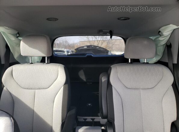 KM8R2DHEXMU233192 2021 HYUNDAI PALISADE Black Vista de los asientos traseros