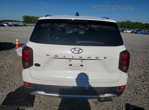KM8R44HE6LU065561 2020 HYUNDAI PALISADE White Widok z tyłu