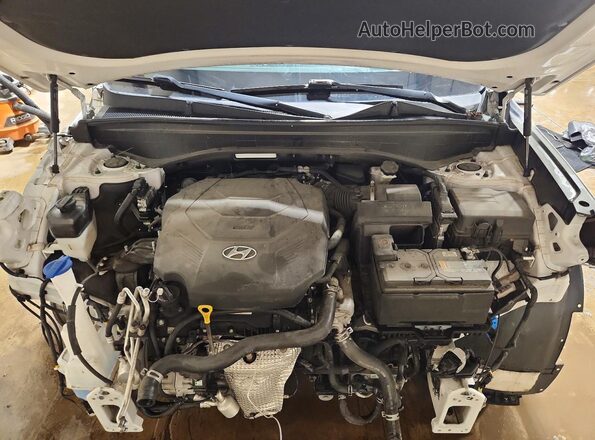 KM8R5DHE2LU116390 2020 HYUNDAI PALISADE White Вид підкапотного простору