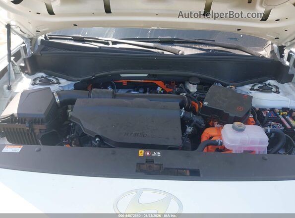 KM8RMESA6TU048710 2026 HYUNDAI PALISADE HEV Белый Вид сзади