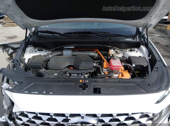 KM8S3DA19MU006744 2021 HYUNDAI SANTA FE HYBRID White Вид ззаду