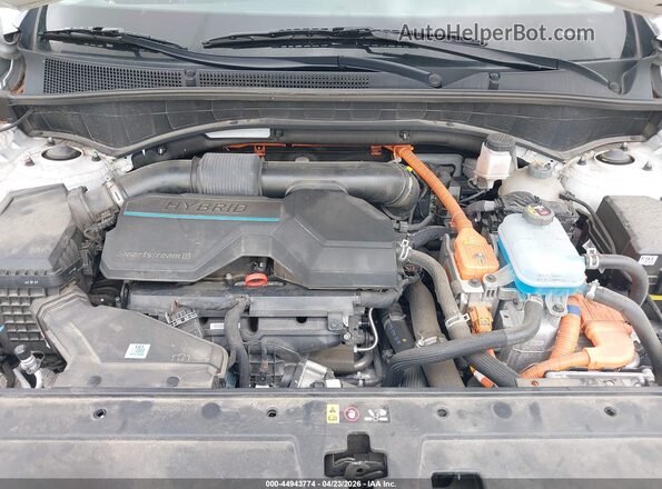 KM8S7DA24PU100970 2023 HYUNDAI SANTA FE PLUG-IN HYBRID Белый Вид сзади