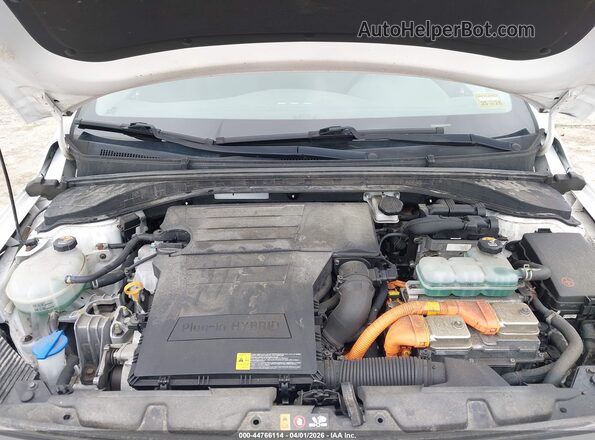 KMHC65LDXKU147702 2019 HYUNDAI IONIQ PLUG-IN HYBRID Белый Вид сзади