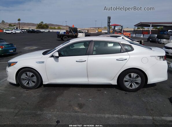 KNAGT4LC4H5004924 2017 KIA OPTIMA HYBRID White 