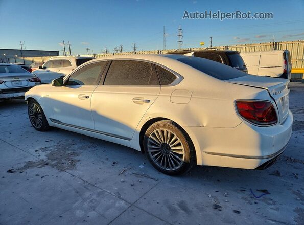 KNAS24J65K6009867 2019 KIA K900 White Задня ліва чверть