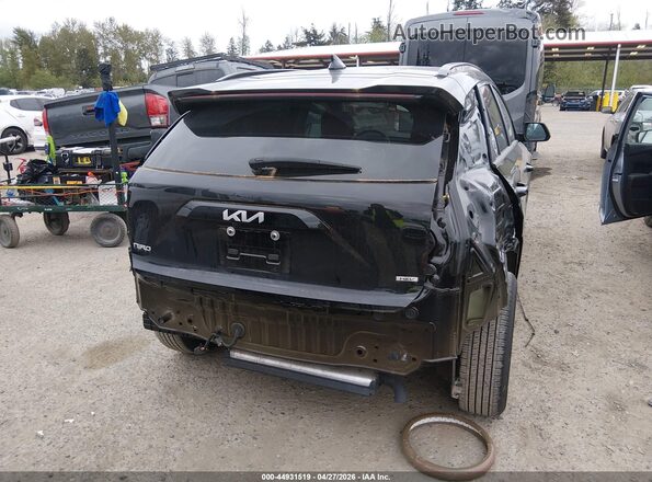 KNDCP3LE4R5171822 2024 KIA NIRO Black Rear right