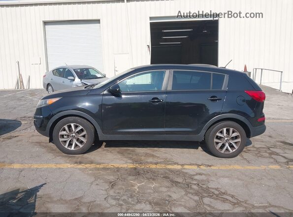 KNDPB3AC6G7874745 2016 KIA SPORTAGE Black Սալոնի հետևի տեսք