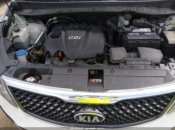 KNDPBCACXG7880175 2016 KIA SPORTAGE White Հետևի տեսք