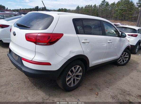 KNDPBCACXG7880175 2016 KIA SPORTAGE White Հետևի աջ