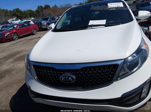 KNDPC3AC2G7878448 2016 KIA SPORTAGE White Սալոնի հետևի տեսք