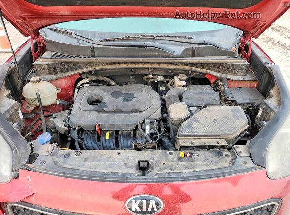 KNDPM3AC0K7493802 2019 KIA SPORTAGE Red Вид задньої частини салону