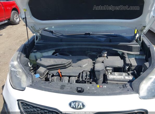 KNDPM3AC7H7192002 2017 KIA SPORTAGE White Вид ззаду