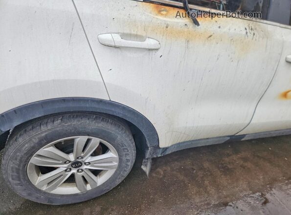 KNDPMCAC6K7491343 2019 KIA SPORTAGE White 