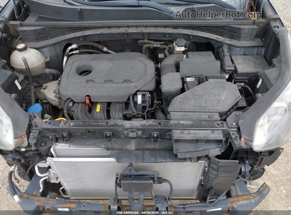 KNDPNCAC7H7253443 2017 KIA SPORTAGE Blue Widok z tyłu