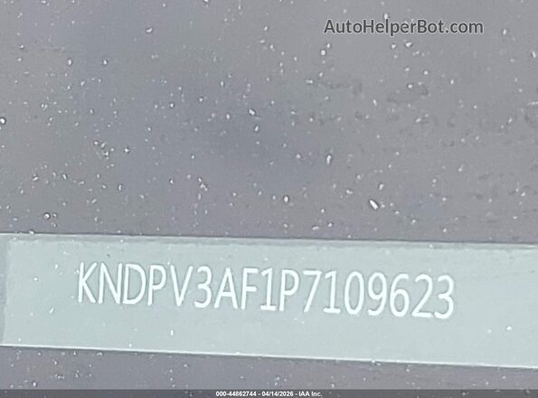 KNDPV3AF1P7109623 2023 KIA SPORTAGE Серый 