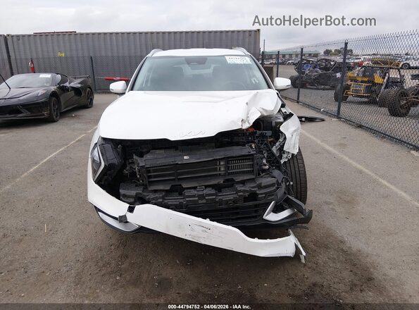 KNDPVCAG1P7076261 2023 KIA SPORTAGE HYBRID White Սալոնի հետևի տեսք