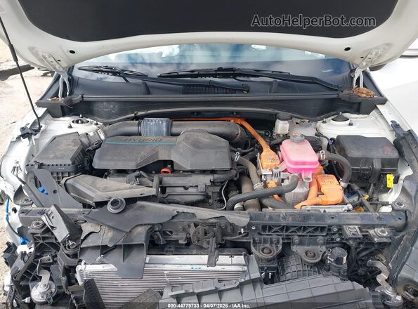 KNDPVCAG3P7058103 2023 KIA SPORTAGE HYBRID White Հետևի տեսք