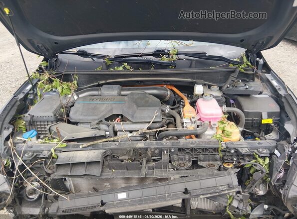 KNDPVCAG6P7072822 2023 KIA SPORTAGE HYBRID Gray Vista trasera