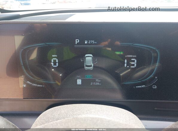 KNDPVCDG3S7206531 2025 KIA SPORTAGE HYBRID Blue უკანა სავარძლების ხედი