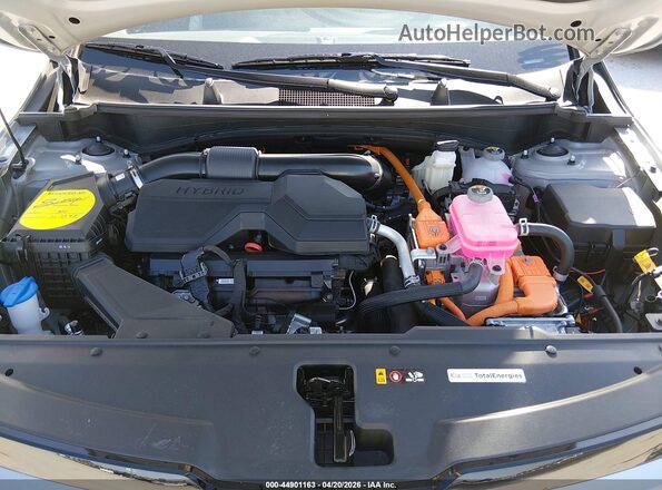 KNDPVDDGXT7277958 2026 KIA SPORTAGE HYBRID Gray უკანა ხედი