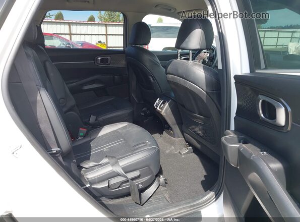 KNDRHDLG9P5156051 2023 KIA SORENTO HYBRID White Vista de la etiqueta del VIN