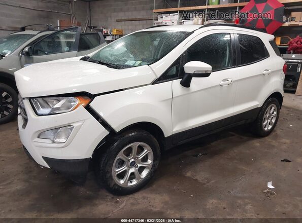 MAJ6F3GL7LC343905 2020 FORD ECOSPORT White Przód lewy