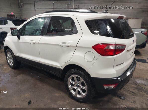 MAJ6F3GL7LC343905 2020 FORD ECOSPORT White Tył lewy