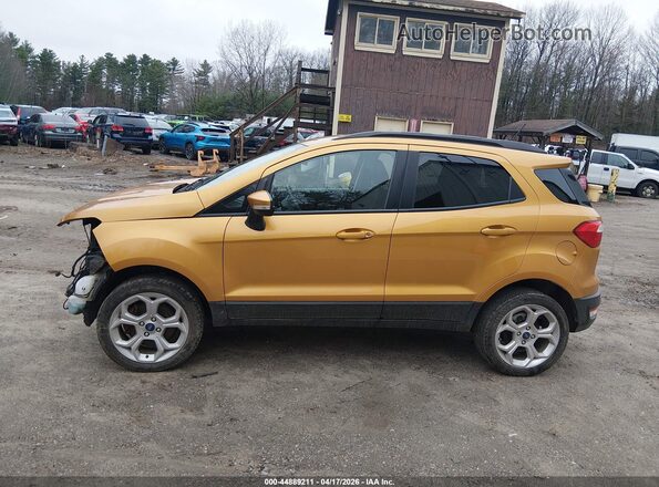 MAJ6S3GL1MC423993 2021 FORD ECOSPORT Желтый Панорамный вид салона 360°