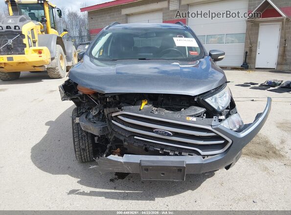 MAJ6S3GL7KC250459 2019 FORD ECOSPORT Gray Սալոնի հետևի տեսք