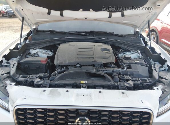 SADCT2EX5RA731248 2024 JAGUAR F-PACE White უკანა ხედი