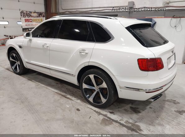 SJAAM2ZV8KC027341 2019 BENTLEY BENTAYGA Белый Задняя левая четверть