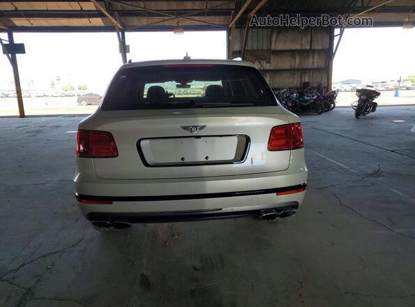 SJAAM2ZVXLC030209 2020 BENTLEY BENTAYGA Beige Rear view