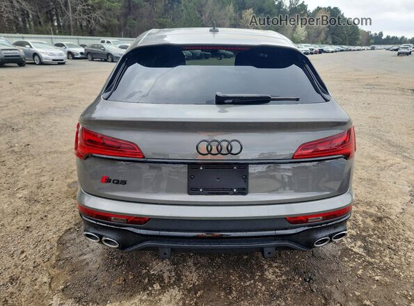 WA124AFY7R2149131 2024 AUDI SQ5 Gray უკანა ხედი
