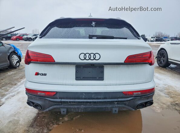 WA134AFY9P2147642 2023 AUDI SQ5 White Widok z tyłu