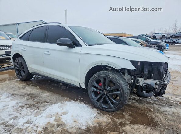 WA134AFY9P2147642 2023 AUDI SQ5 White Przód prawy