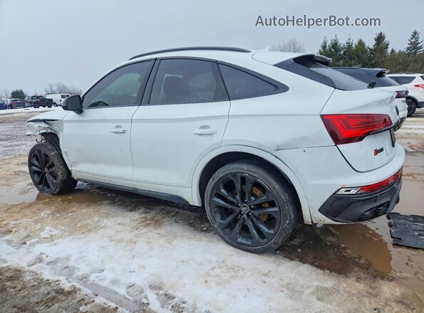 WA134AFY9P2147642 2023 AUDI SQ5 White Tył lewy