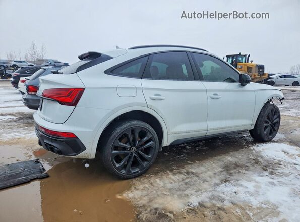 WA134AFY9P2147642 2023 AUDI SQ5 White Tył prawy