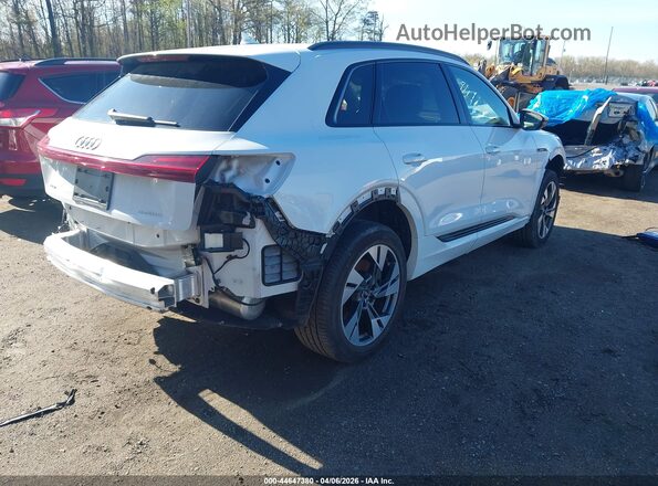 WA1AAAGE0MB031665 2021 AUDI E-TRON White Trasero derecho