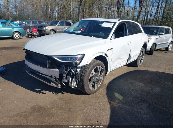 WA1AAAGE0MB031665 2021 AUDI E-TRON White Vista tres cuartos delantera izquierda