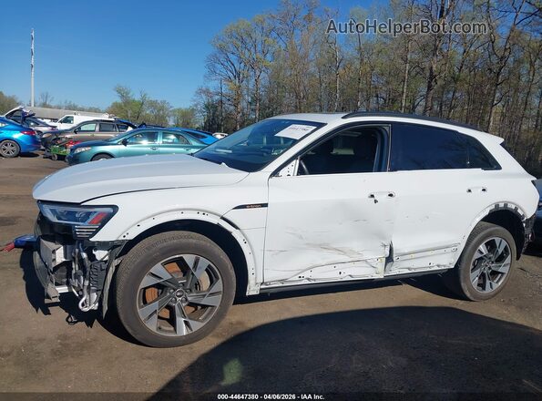 WA1AAAGE0MB031665 2021 AUDI E-TRON White 