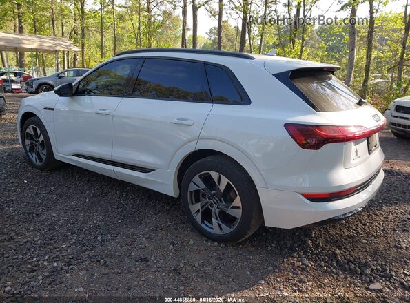 WA1AAAGE4MB031880 2021 AUDI E-TRON Белый Задняя левая четверть