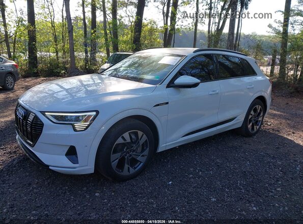 WA1AAAGE4MB031880 2021 AUDI E-TRON Белый Передняя левая четверть