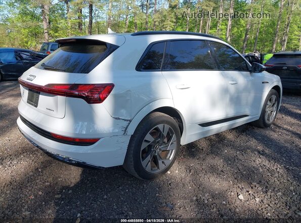 WA1AAAGE4MB031880 2021 AUDI E-TRON Белый Задняя правая четверть