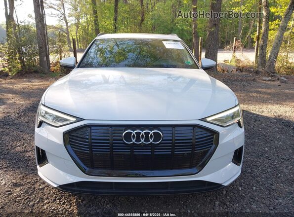WA1AAAGE4MB031880 2021 AUDI E-TRON Белый Вид щитка приборов
