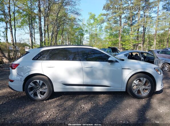 WA1AAAGE4MB031880 2021 AUDI E-TRON Белый Вид задней части салона