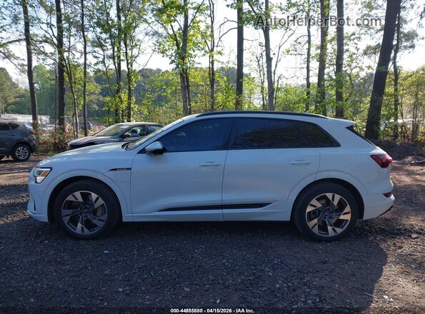 WA1AAAGE4MB031880 2021 AUDI E-TRON Белый Панорамный вид салона 360°
