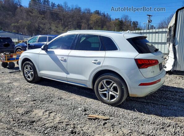 WA1ANAFY5K2113808 2019 AUDI Q5 White უკანა მარცხენა