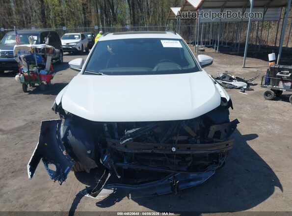 WA1B5BFZ6SP053446 2025 AUDI Q4 White 